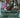 Bloom Tender (Borderless) - Double Masters 2022 (2X2)