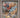 GRENINJA ex 132 PSA 10