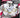 Pokemon TCG: Scarlet & Violet 10.5 - White Flare Binder Collection